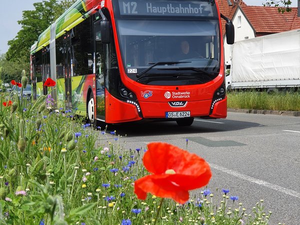 Bus mit Blume